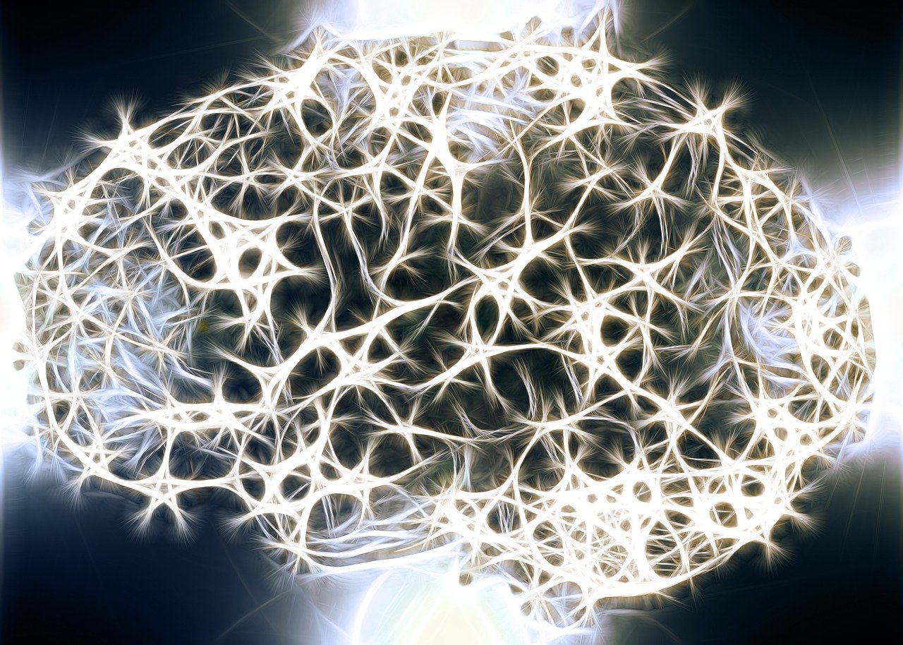 neurons, brain cells, brain structure, brain, network, wattle, yarn, tissue, meshwork, entanglement, knot, web, meshes, ribbon, loop, sloop, neurons, brain, brain, brain, brain, brain